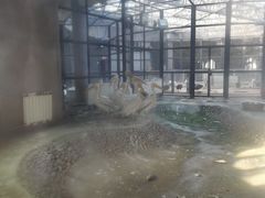 -鄂尔多斯野生动物园