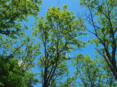 -玉渡山自然风景区