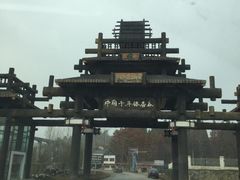 -千年银杏谷文化旅游区