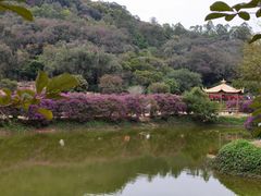 -南国桃园旅游度假区