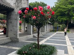 -清湖文化公园