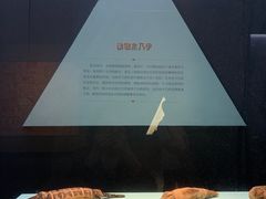 -浙江西湖美术馆