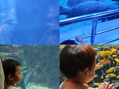 -太平洋海底世界