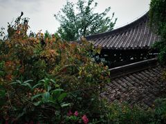 -杭州半山国家森林公园