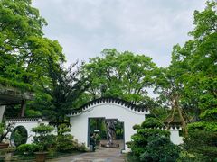 -南山植物园