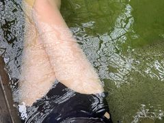 -凤翔首邑温泉度假村