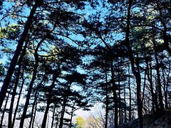 -鹫峰国家森林公园