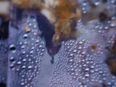 -王二甩老木子鸡(江湾店)