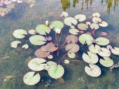 -满都海公园