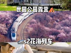 -沉浸北京·团建旅行·密室剧本杀·年会会议轰趴拓展