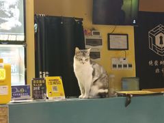 -谜盒子奇幻密室(南屏店)