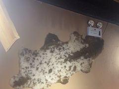 -柿子树炭烤羊腿(金台路店)