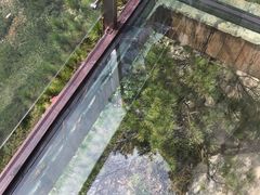 -罗田天堂寨风景区