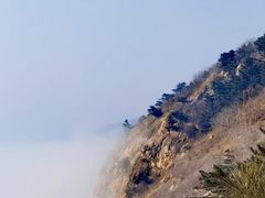 -燕窝岭