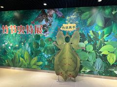 -上海昆虫博物馆