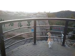 -棋盘山风景区