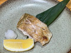 -镹·鱼料理  国产鱼使用店