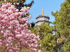 -湛山寺
