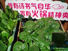 -番食园鲜食火锅(高新店)