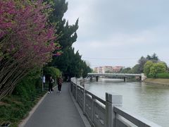 -嘉定紫藤园