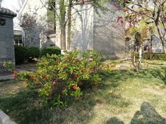 -万源龙顺度假庄园生态观光园