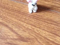 -春润大地海南椰子鸡(沙井京基百纳广场店)