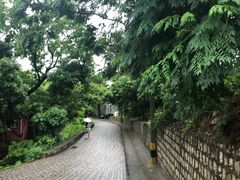 -龙环葡韵住宅式博物馆