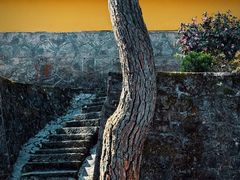 -九华山风景区月身宝殿