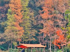 -桂林古东瀑布景区