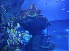-海合安武汉极地海洋公园