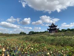 -上海海湾国家森林公园