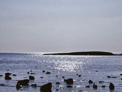 -辽宁团山国家级海洋公园