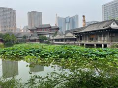 -龙潭水乡