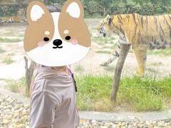 -上海野生动物园老虎餐厅