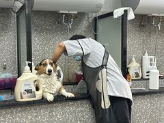 -宠物家(角门东店)