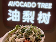 -油梨树AVOCADO TREE(嘉里中心店)