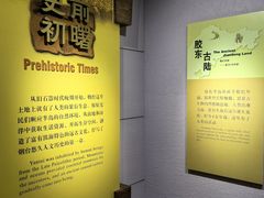 -烟台市博物馆