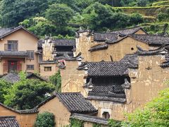 -杨家堂村