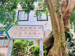 -南丫岛