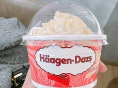 -哈根达斯(武汉天地店)