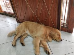 -八木轩·寻味大理白族民俗餐厅(文献路店)
