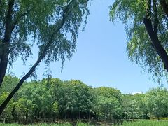 -同里国家湿地公园