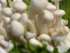 -清真·京华源铜锅涮肉(丰庆店)