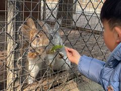 -歌斐颂巧克力小镇