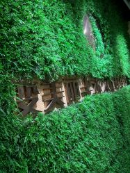 -变美丽半永久纹眉连锁·机器野生眉•洗眉