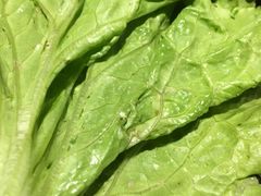 -九田家黑牛烤肉料理(珠江摩尔店)