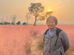 -汉长安城未央宫国家考古遗址公园