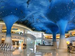 -夏黑子坛子鱼(总店)