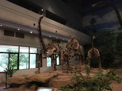 -自贡恐龙博物馆