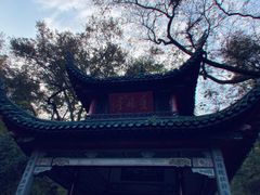 -岳麓山风景名胜区